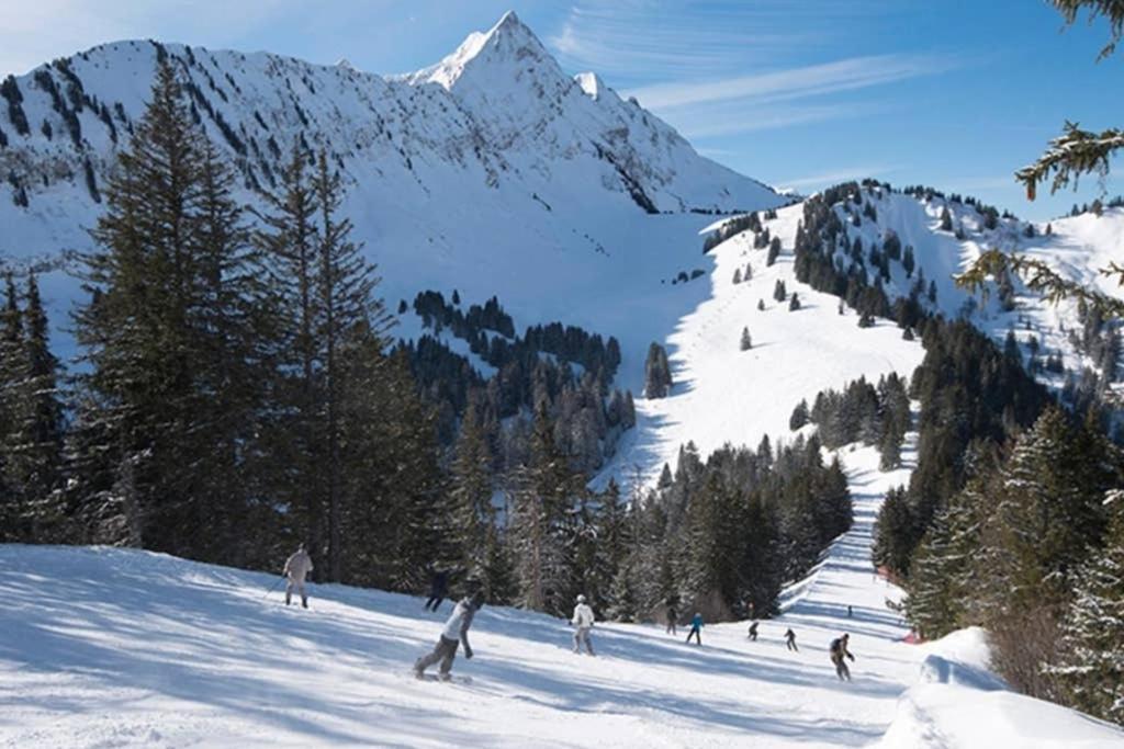 L'Enchalpe, Grand Et Lumineux Studio Avec Coin Montagne 5 Personnes, 60M Des Pistes, Piscine Couverte, Wifi, Grand Balcon Expo Est, Draps Non Compris Saint-Jean-dʼAulps 외부 사진