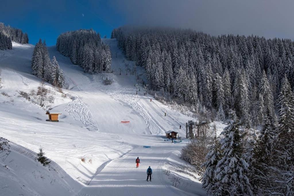 L'Enchalpe, Grand Et Lumineux Studio Avec Coin Montagne 5 Personnes, 60M Des Pistes, Piscine Couverte, Wifi, Grand Balcon Expo Est, Draps Non Compris Saint-Jean-dʼAulps 외부 사진